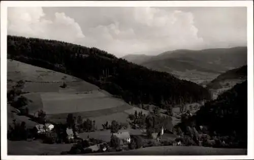 Ak Siegelau im Elztal Gutach im Breisgau Schwarzwald, Blick auf den Kandel