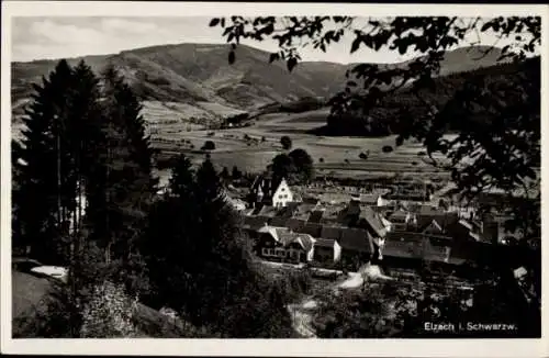 Ak Elzach im Schwarzwald, Panorama