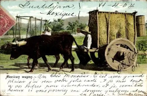 Ak Mexiko, Rinderfuhrwerk
