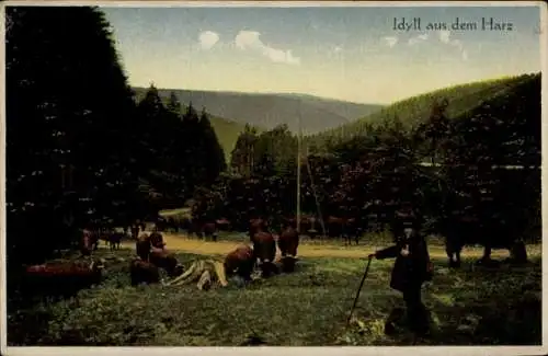 Ak Idyll aus dem Harz, Hirt mit Rindern auf der Weide