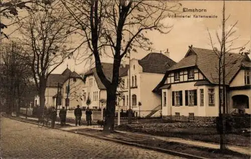 Ak Elmshorn in Schleswig Holstein, Villenviertel Kaltenweide