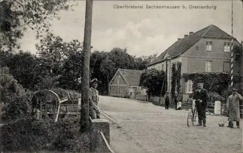 Ak Sachsenhausen Oranienburg im Kreis Oberhavel, Oberförsterei