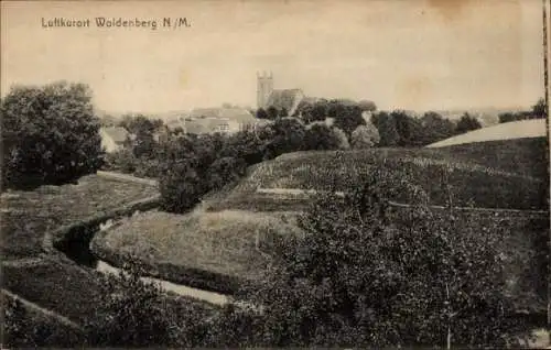 Ak Dobiegniew Woldenberg Neumark Ostbrandenburg, Panorama
