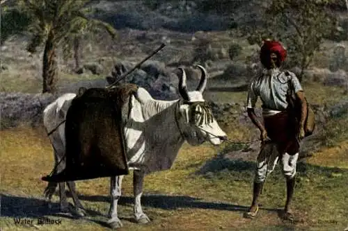 Ak Indien, Wasserverkäufer mit Bulle