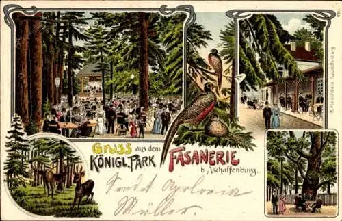 Litho Aschaffenburg in Unterfranken, Königlicher Park, Fasanerie