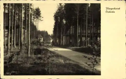 Ak Oschatz in Sachsen, Fliegerhorst, Wald