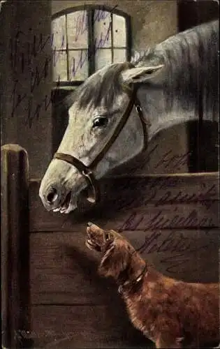 Künstler Litho Müller, August, Pferd mit Zaumzeug und Hund im Stall