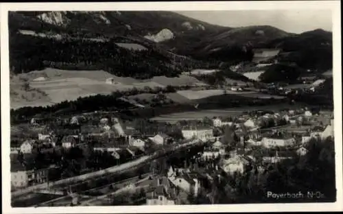 Ak Payerbach an der Rax in Niederösterreich, Panorama