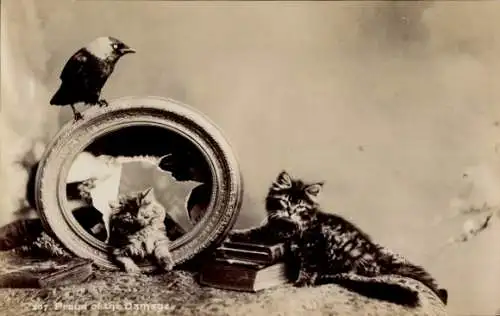 Ak Stolz auf die Zerstörung, zwei junge Katzen, Kaputtes Bild, Bilderrahmen, Krähe