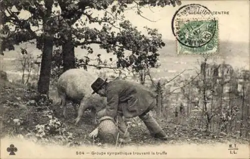 Ak Frankreich, Mann mit Trüffelschwein