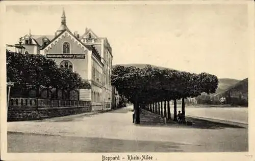 Ak Boppard am Rhein, Rheinallee