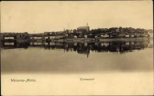 Ak Weisenau Mainz am Rhein, Totalansicht