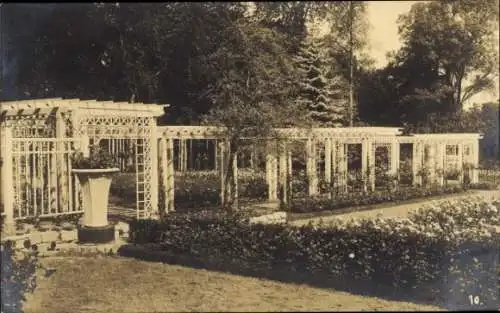 Ak Mainz am Rhein, Deutsche Rosenschau 1925, Rheinische Festwoche