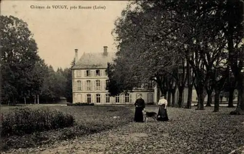Ak Vougy Loire, Chateau de Vougy