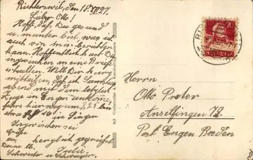 Ak Richtersweil Richterswil Kanton Zürich, Gesamtansicht