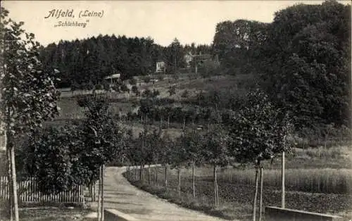 Ak Alfeld an der Leine, Schlehberg