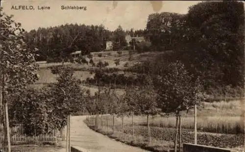 Ak Alfeld an der Leine, Schlehberg