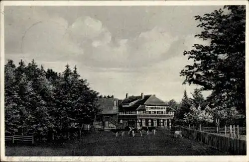 Ak Salzhemmendorf, Osterwald, Waldgaststätte Sennhütte