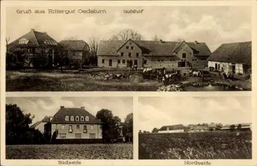 Ak Oedelum Schellerten in Niedersachsen, Gutshof, Nord- und Südseite