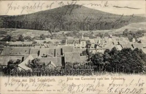 Ak Bad Salzdetfurth in Niedersachsen, Blick vom Tannenberg nach dem Sothenberg