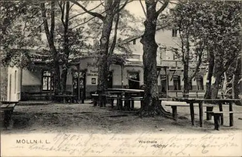 Ak Mölln im Herzogtum Lauenburg, Gasthaus Waldhalle