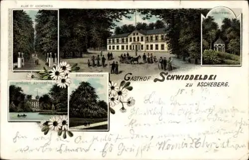 Litho Ascheberg in Schleswig Holstein, Schloss Ascheberg, Riesenkastanie, Hotel Schwiddeldei