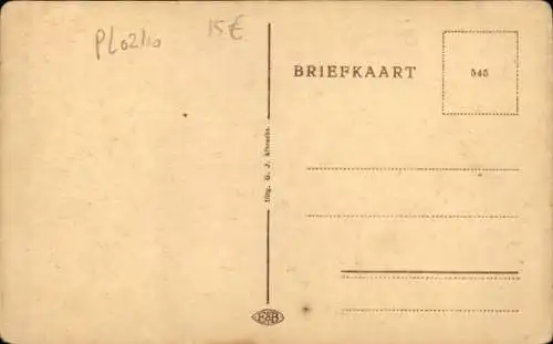 Ak Winterswijk Gelderland Niederlande, Plataanlaan