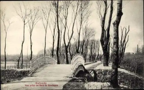 Ak Ostende Ostende Westflandern, Blick auf den Bois de Boulogne