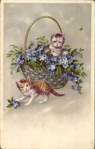 Ak Zwei Katzen im Blumenkorb