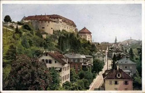 Ak Tübingen am Neckar, Neckarhalde mit Schloss