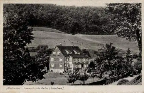 Ak Dorlar Schmallenberg im Sauerland, Martinshof