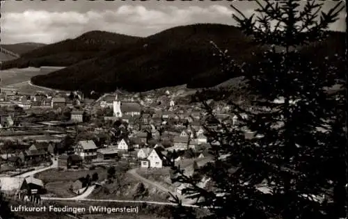 Ak Feudingen Bad Laasphe in Westfalen, Panorama