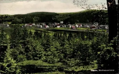 Ak Liesen Hallenberg Sauerland, Panorama