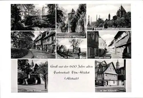 Ak Höchst Frankfurt am Main, Park, Altes Zolltor, Ochsenturm, Mainanlage, Schloss, Kirche, Altstadt