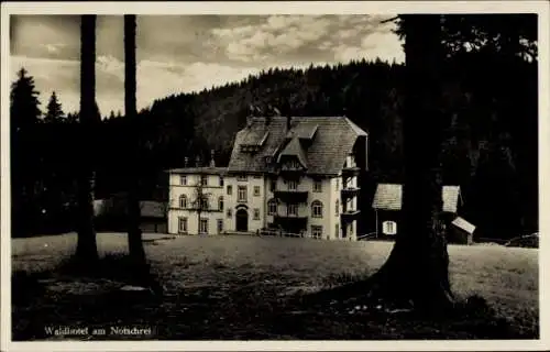 Ak Todtnau im Schwarzwald, Notschrei, Waldhotel