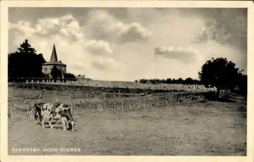 Ak Hoog Soeren Gelderland Niederlande, Panorama, Kuh