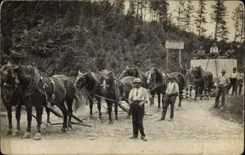 Foto Ak Granitbrüche Pyrek-Holec-Hauke, Steinbruch, Pferde