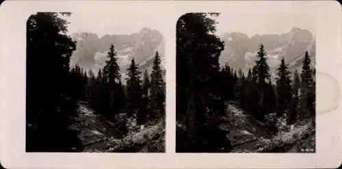 Stereo Foto Misurina Veneto, Landschaft, Gebirge