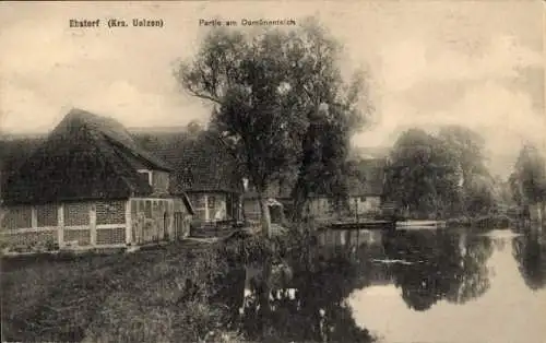 Ak Ebstorf in der Lüneburger Heide, Domänenteich