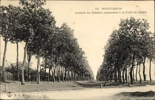 Ak Montgeron Essonne, Avenue du Château conduisant à la Forêt de Sénart