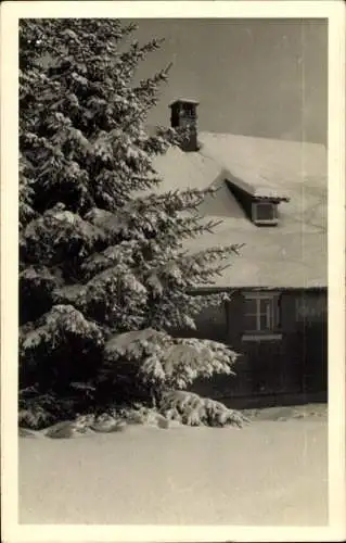 Foto Ak Falkau Feldberg im Schwarzwald, Gebäude, schneebedecktes Dach, Tanne