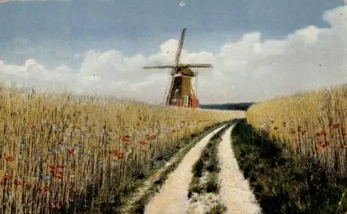 Ak Niederlande, Blumenfelder, Windmühle