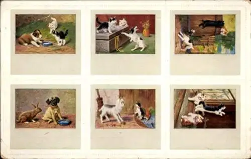 Künstler Ak junge Katzen und Hunde, Szenen, Ziege, Hase