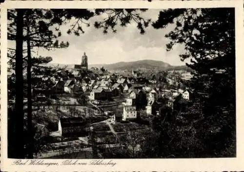 Ak Bad Wildungen in Hessen, Gesamtansicht, Schlossberg