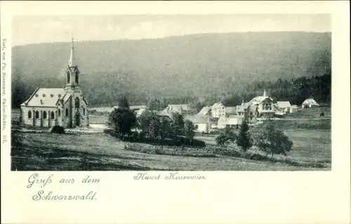 Ak Herrenwies Forbach im Schwarzwald Baden, Gesamtansicht