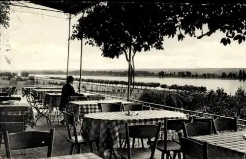 Ak Mittelheim Oestrich Winkel am Rhein Rheingau, Hotel Rheinterrasse Ruthmann