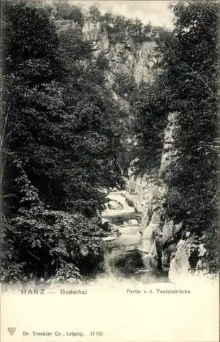 Ak Thale im Harz, Bodetal, Partie von der Teufelsbrücke