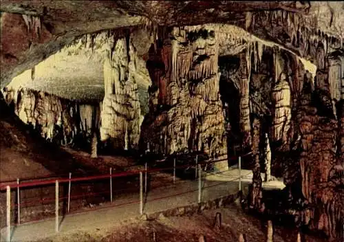Ak Postojna Postumia Adelsberg Slowenien, Postojnska jama, Adelsberger Grotte, Höhlen