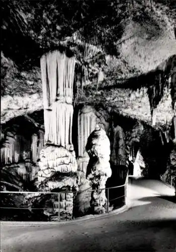 Ak Postojna Postumia Adelsberg Slowenien, Postojnska jama, Adelsberger Grotte, Höhlen, Brilliant