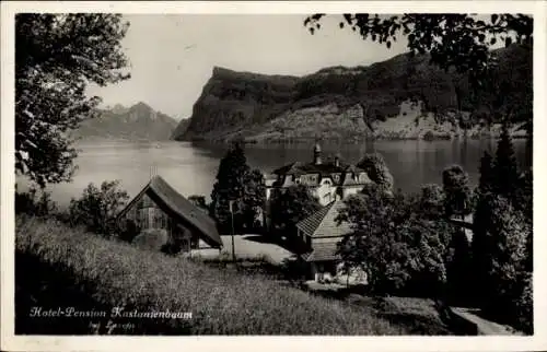 Ak Luzern Stadt Schweiz, Hotel Pension Kastanienbaum